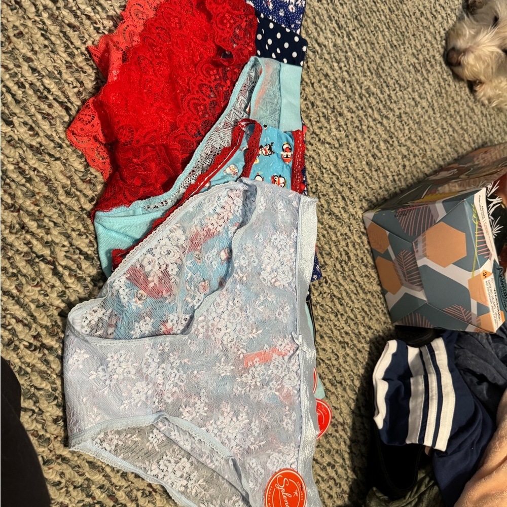 5 pr. Splendies Lace and Cotton Panty Set - Red, Blue, and Light Blue